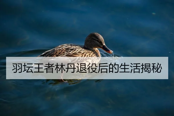 羽坛王者林丹退役后的生活揭秘